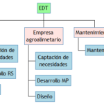 EDT